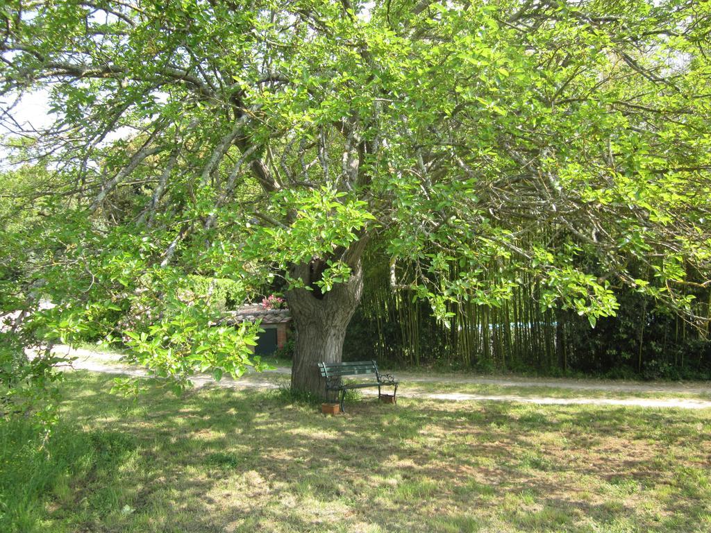 Apartamento La Locaia